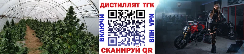 купить наркотики сайты  Старая Купавна  ТГК THC oil 