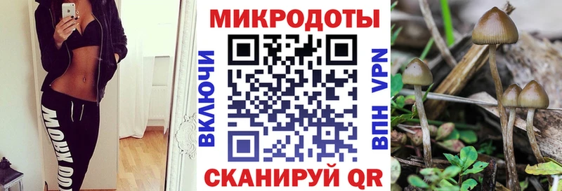 даркнет сайт  Старая Купавна  Псилоцибиновые грибы MAGIC MUSHROOMS 