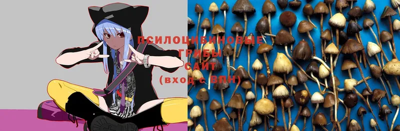 Галлюциногенные грибы Magic Shrooms  гидра онион  Старая Купавна 