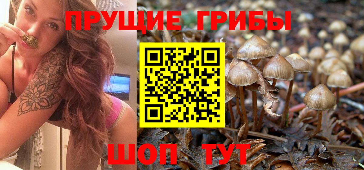 Псилоцибиновые грибы Psilocybe  Псилоцибиновые грибы MAGIC MUSHROOMS  Старая Купавна 